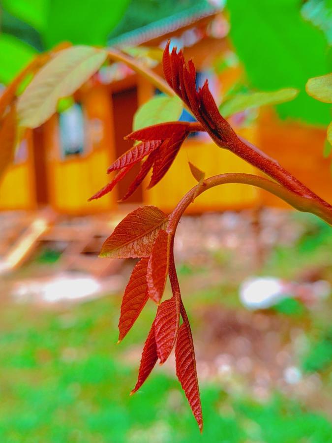 Shanti People Huts & Camp Kasol Esterno foto
