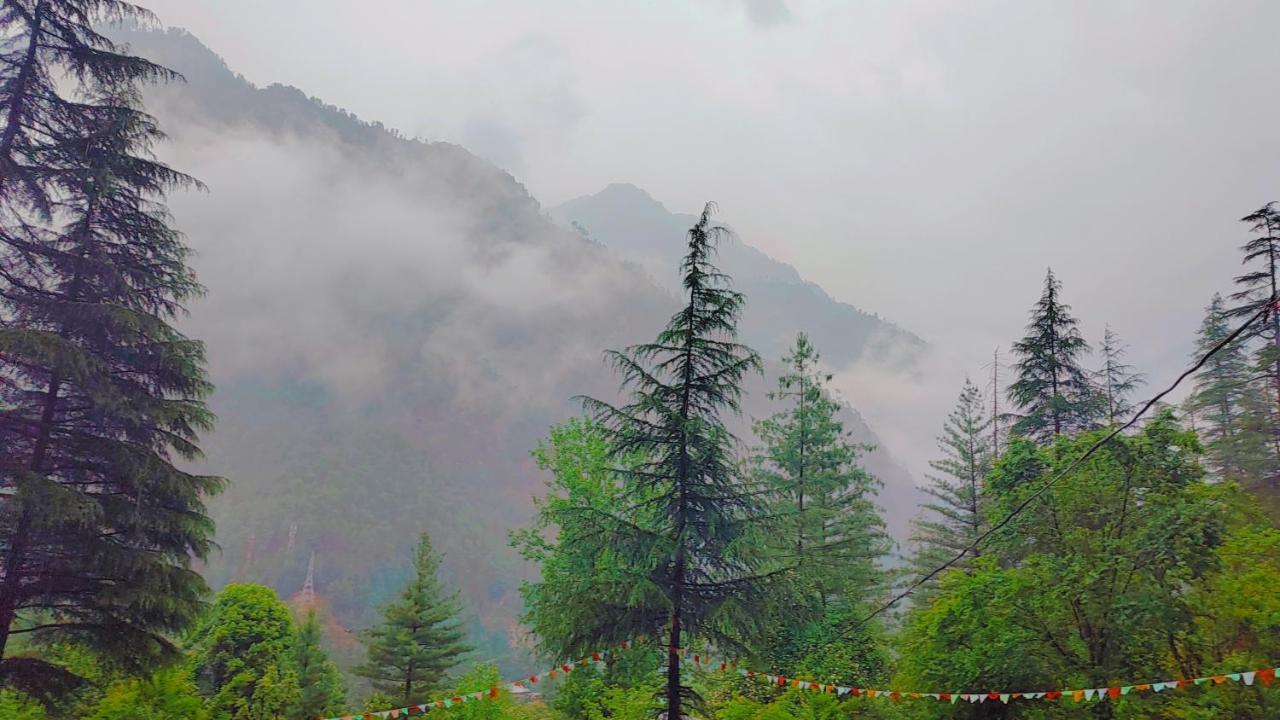 Shanti People Huts & Camp Kasol Esterno foto