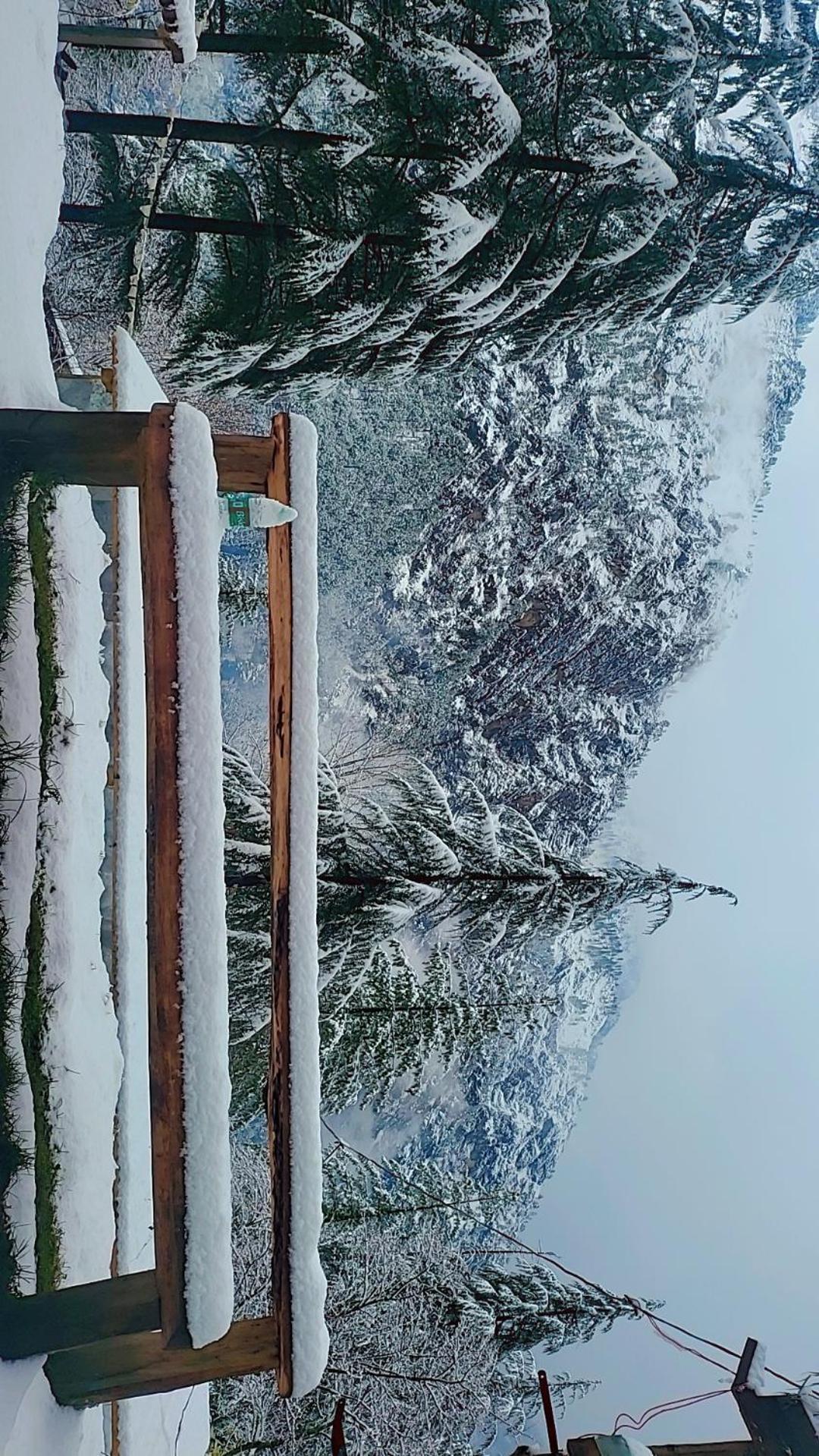 Shanti People Huts & Camp Kasol Esterno foto